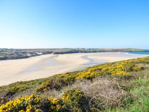 Appartamento Saltwater New Quay Esterno foto