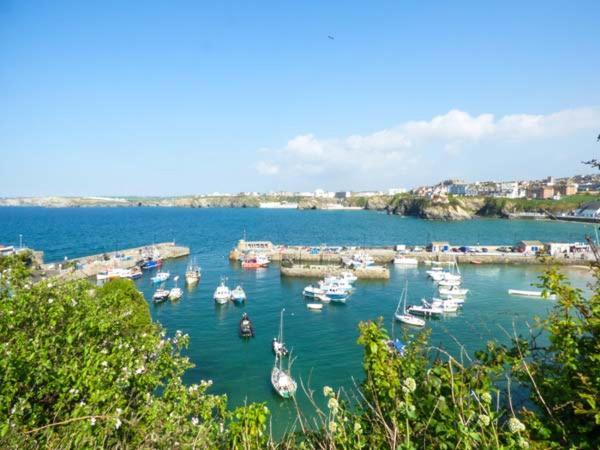 Appartamento Saltwater New Quay Esterno foto