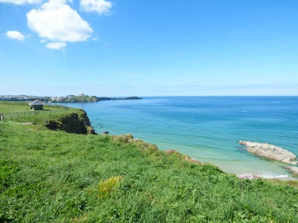 Appartamento Saltwater New Quay Esterno foto
